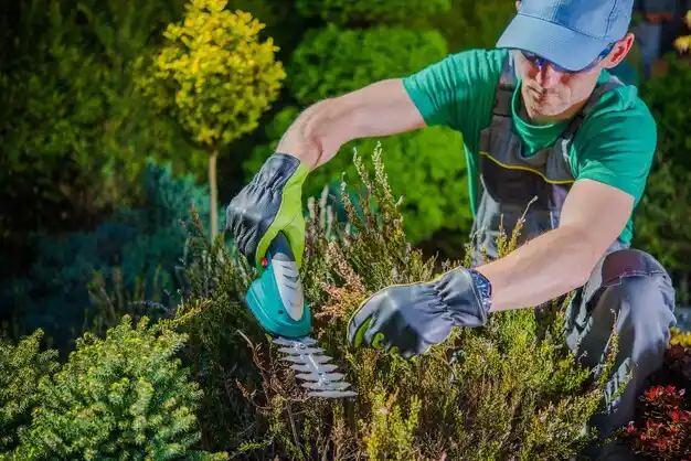landscaping services New Bedford